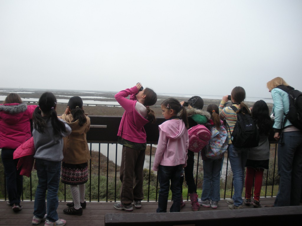 Brownie Eco-Explorers learn about habitats, food chains, and how they can help wildlife at the Environmental Education Center, Alviso, CA.